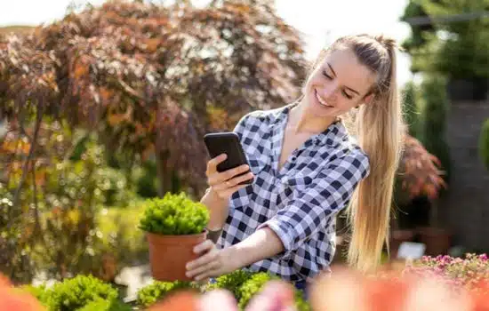 El Cuidado de Las Plantas