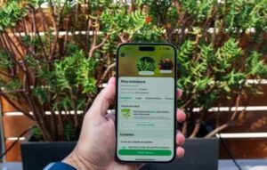 Mantener tus Plantas Saludables