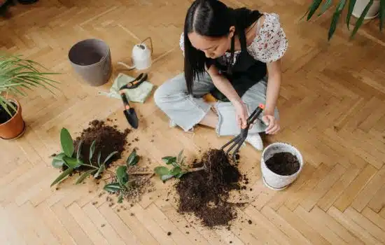 Tu Compañero en la Jardinería