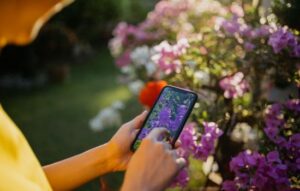 El Cuidado de tus Plantas