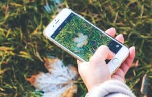 Apps para Cuidar Plantas