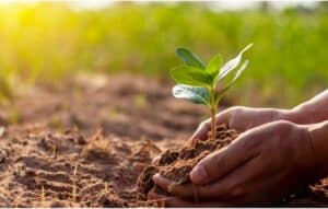 Conviértete en un Experto en Plantas