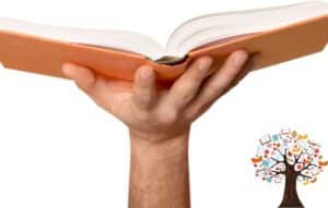 Lectura sin Conexión y Organizada