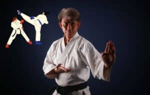 Karate para Principiantes y Expertos