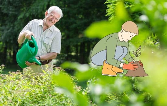 Cuidar tus Plantas Nunca Fue Tan Fácil: Descubre Cómo