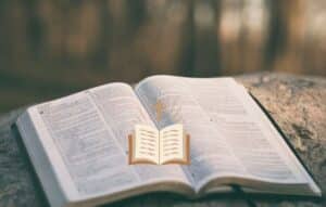 La Biblia en tus manos: para leer en varios idiomas y versiones